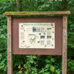Pelikaansbos Zelhem
