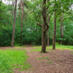 Pelikaansbos Zelhem