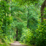 Spoorbaan Ruurlo Zelhem Doetinchem wandelen