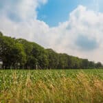 Spoorbaan Ruurlo Zelhem Doetinchem