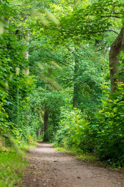 Spoorbaan Ruurlo Zelhem Doetinchem wandelen