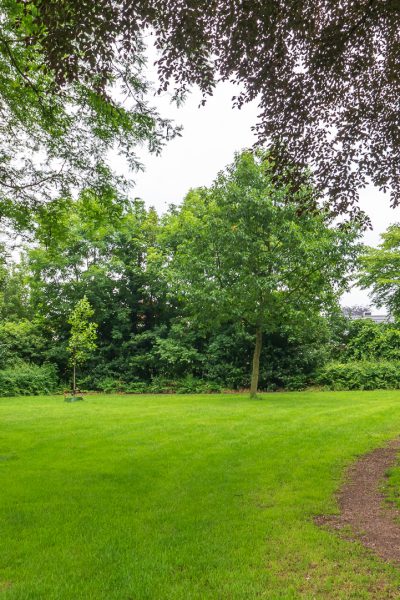 Park Zelhem - Hier Achterhoek Parkje