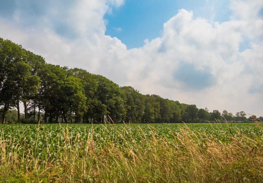 Spoorbaan Ruurlo Zelhem Doetinchem